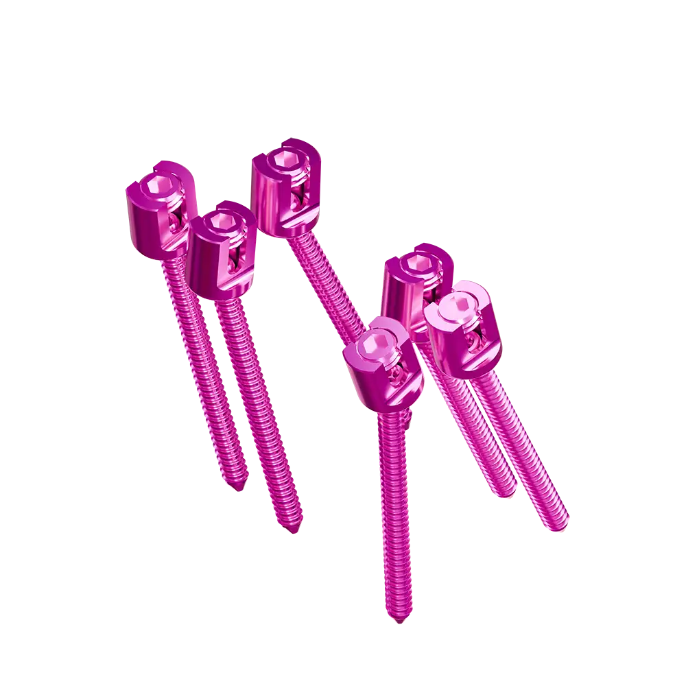 PSYS_screws_NoBone.web